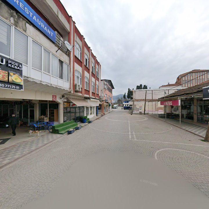 Fotoğraf 8