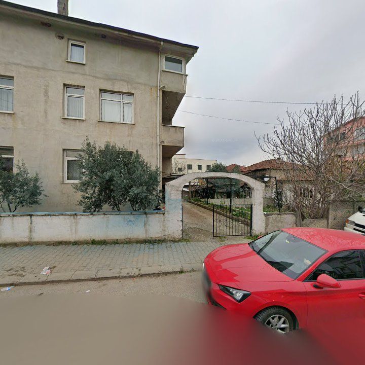 Fotoğraf 8