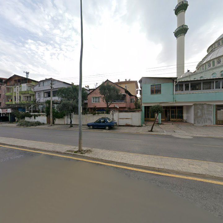 Fotoğraf 7