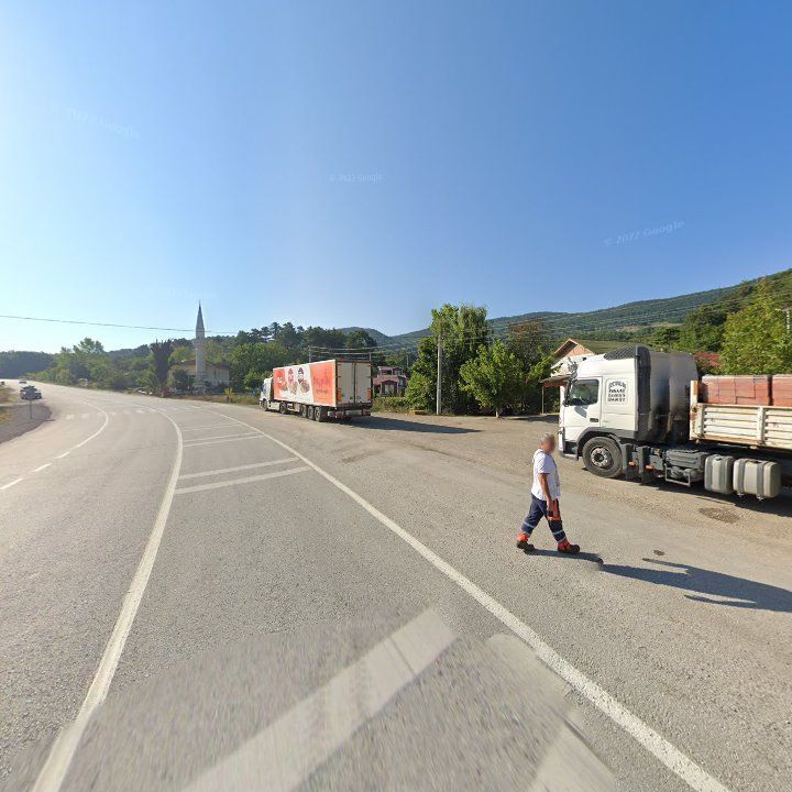 Fotoğraf 11