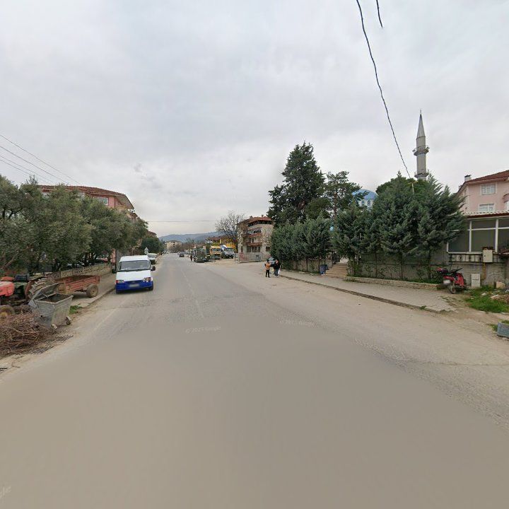Fotoğraf 4