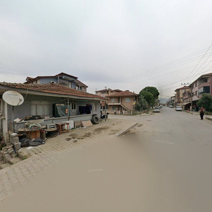 Fotoğraf 7