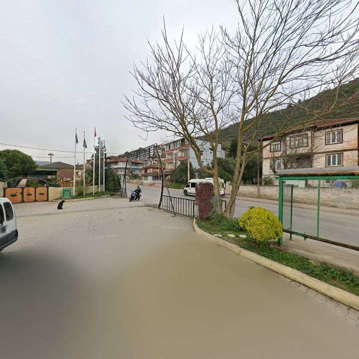 Fotoğraf 12