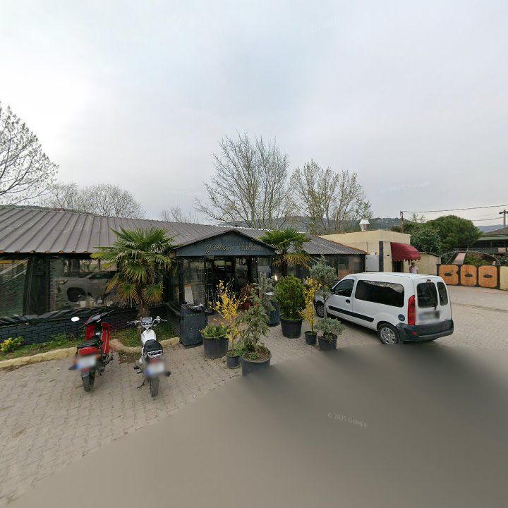 Fotoğraf 11