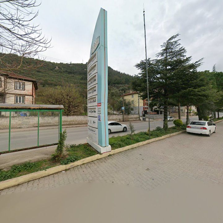 Fotoğraf 13