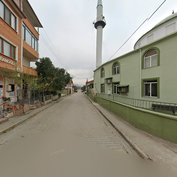 Fotoğraf 4