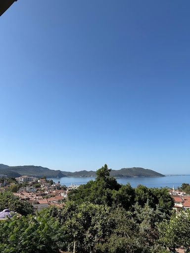 Yorum fotoğrafı 3