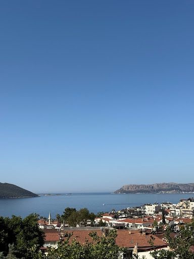 Yorum fotoğrafı 4