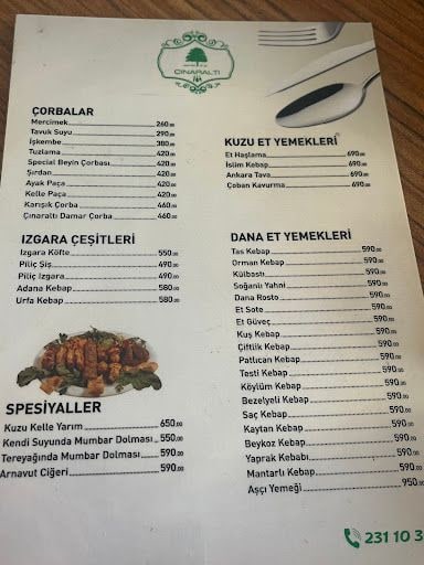 Yorum fotoğrafı 6