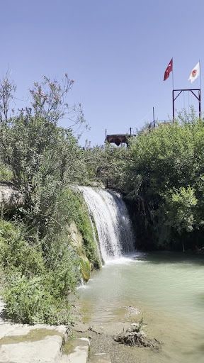 Yorum fotoğrafı 3