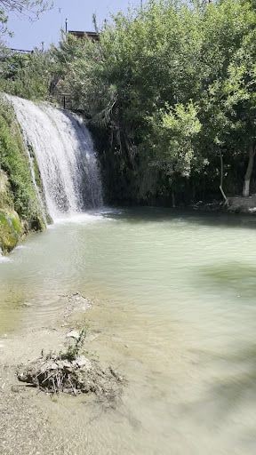 Yorum fotoğrafı 5