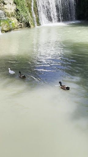 Yorum fotoğrafı 6