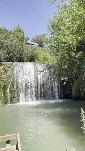 Yorum fotoğrafı 7