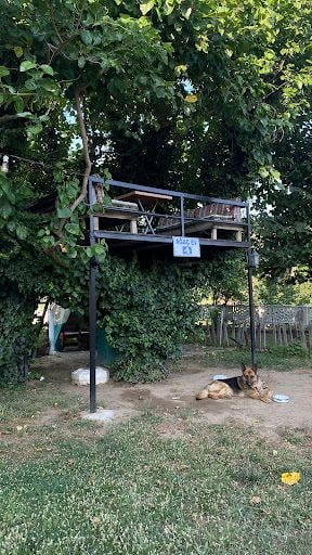 Fotoğraf 17