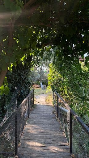 Fotoğraf 18