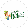 Gezgin bitkici
