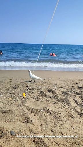 Yorum fotoğrafı 2