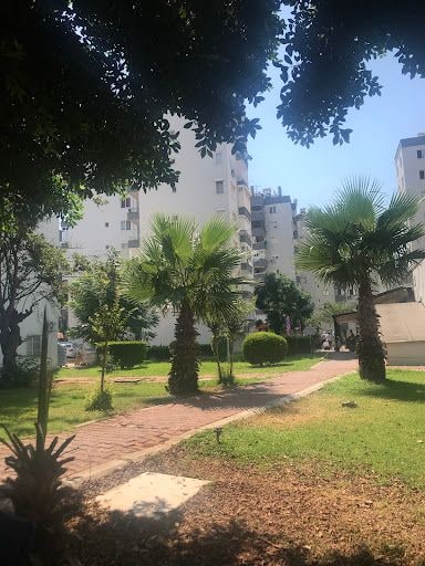 Fotoğraf 14