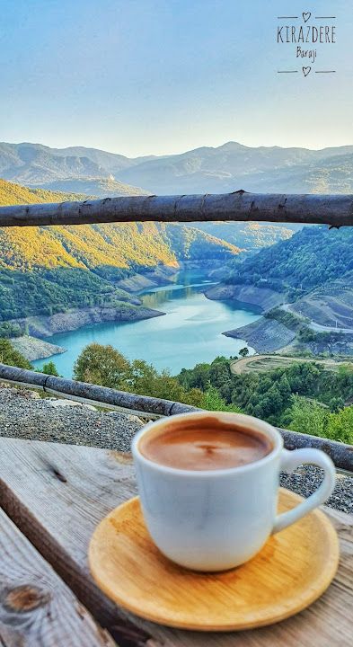 Fotoğraf 44