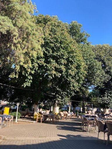 Gezgin Sezgin yorum fotoğrafı