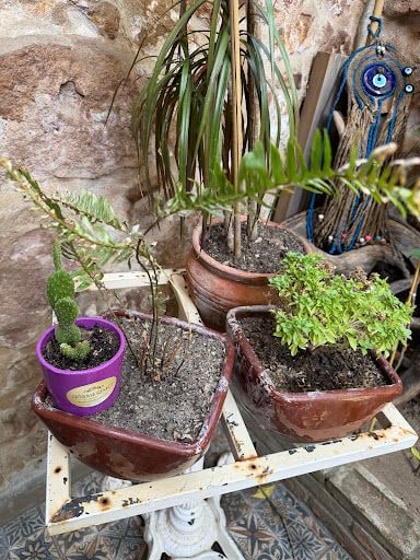 Fotoğraf 12
