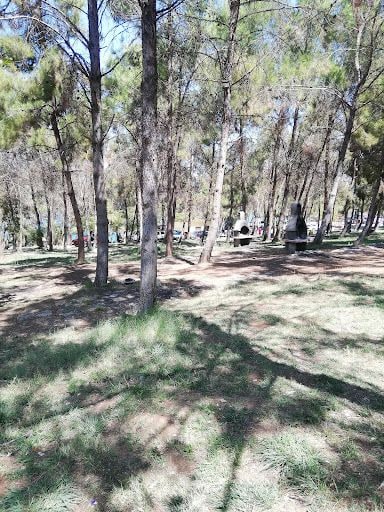 Yorum fotoğrafı 10