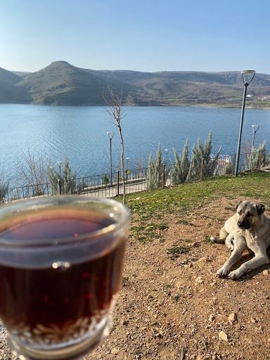 Yorum fotoğrafı 4