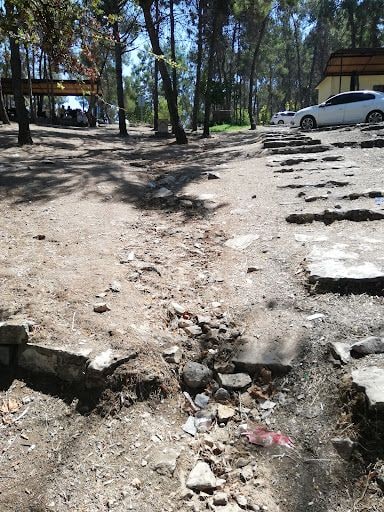 Yorum fotoğrafı 4