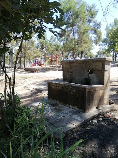 Yorum fotoğrafı 5