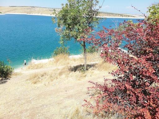 Yorum fotoğrafı 7