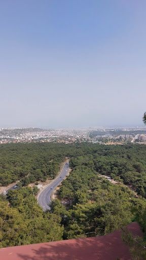 Yorum fotoğrafı 3