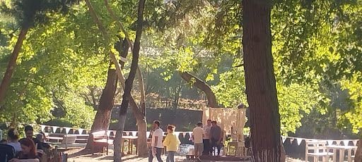 Fotoğraf 15