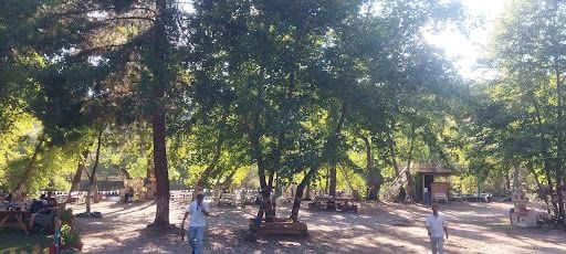 Fotoğraf 16