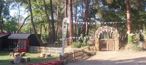 Fotoğraf 17