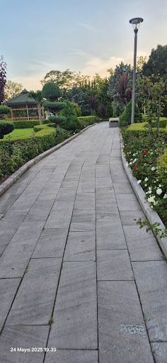 Yorum fotoğrafı 5