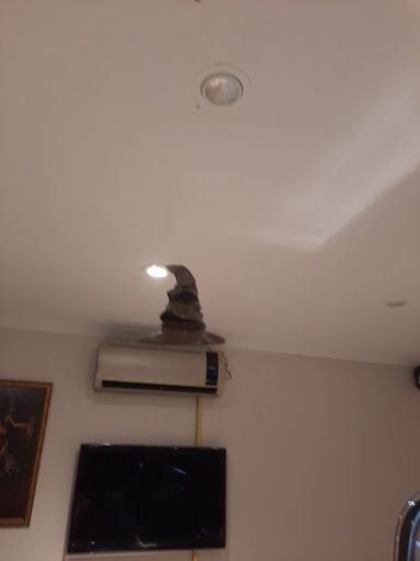 Yorum fotoğrafı 5