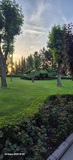 Yorum fotoğrafı 6