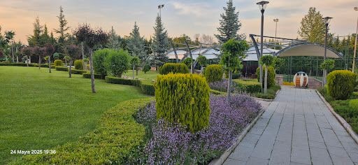 Yorum fotoğrafı 8