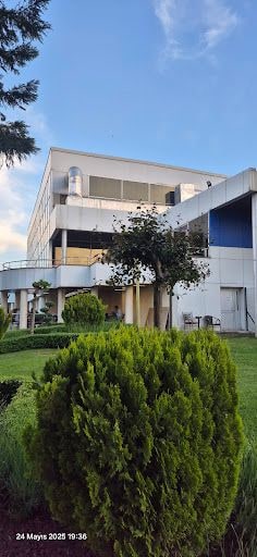 Yorum fotoğrafı 9