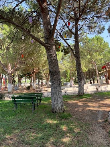 Fotoğraf 16