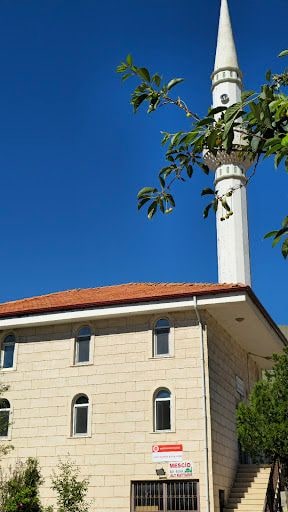 Yorum fotoğrafı 5