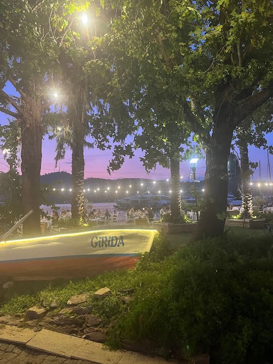 Fotoğraf 24