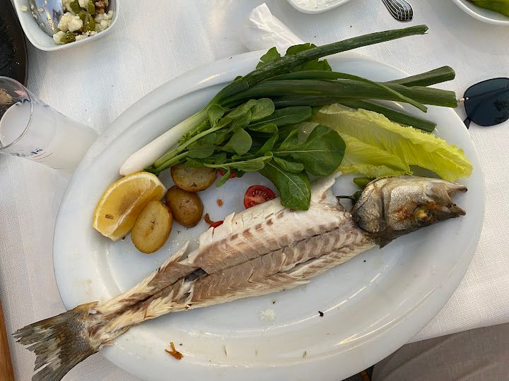 Fotoğraf 27