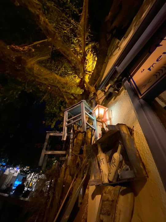 Yorum fotoğrafı 4