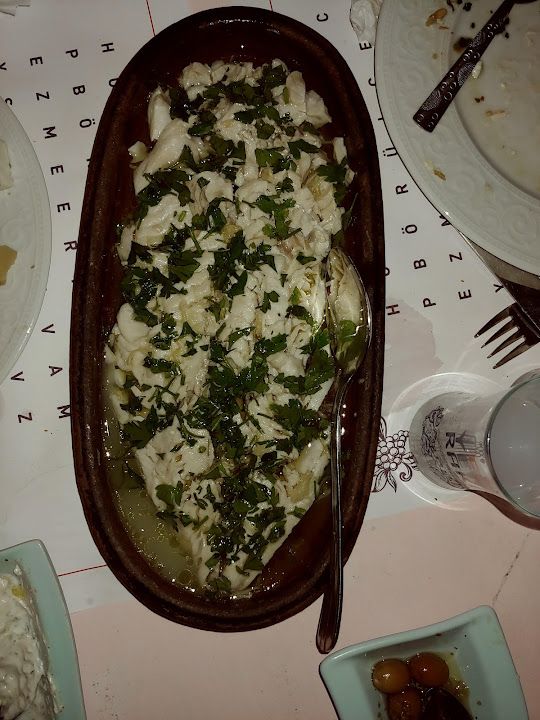 Fotoğraf 49