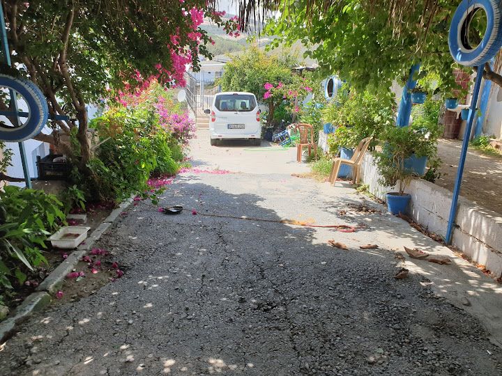 Yorum fotoğrafı 2