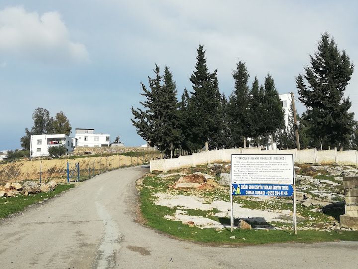 Yorum fotoğrafı 2