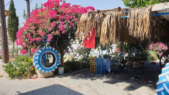 Yorum fotoğrafı 3