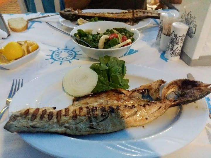 Fotoğraf 19
