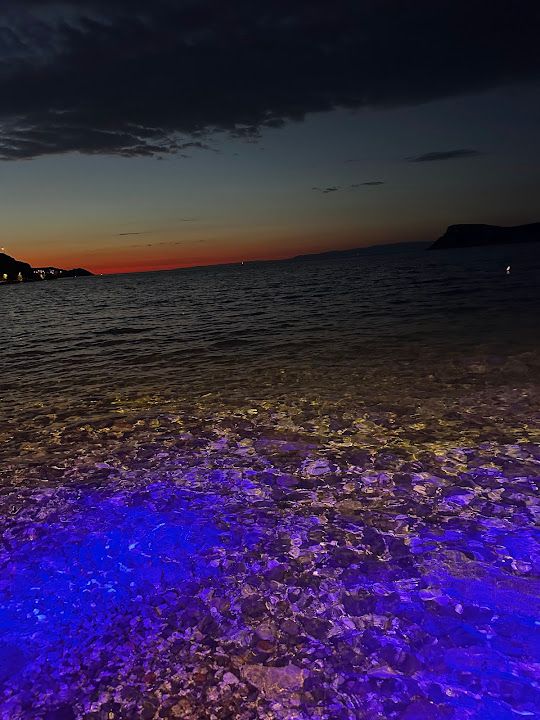 Fotoğraf 13